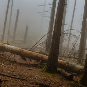 2018_10_osterfeuer_bild_3 2018_10_osterfeuer_bild_3