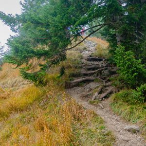 2018_10_osterfeuer_bild_4 2018_10_osterfeuer_bild_4