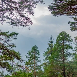 2018_10_osterfeuer_bild_5 2018_10_osterfeuer_bild_5