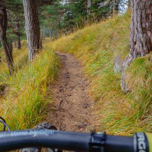 2018_10_osterfeuer_bild_6 2018_10_osterfeuer_bild_6