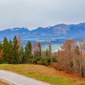 2018_12_möslalmkogel_bild_3 2018_12_möslalmkogel_bild_3