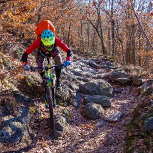 2019_02_trentino_bild_1.2 2019_02_trentino_bild_1.2