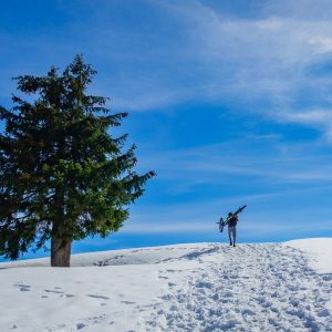 2019_03_zwiesel_bild_3