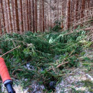 2019_03_zwiesel_bild_5