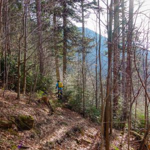 2019_03_zwiesel_bild_6