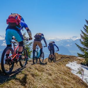 2019_03_voldoepp_bild_3 2019_03_voldoepp_bild_3