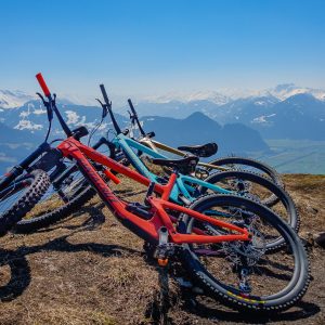 2019_03_voldoepp_bild_4 2019_03_voldoepp_bild_4