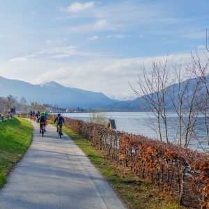 2019_04_baumgarten_bild_1