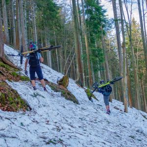 2019_04_baumgarten_bild_2