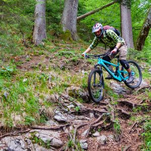 2018_06_schafkopf_bild_5 2018_06_schafkopf_bild_5