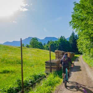 2019_06_ziegelspitz_bild_1 2019_06_ziegelspitz_bild_1