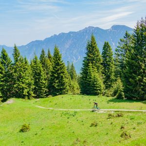 2019_06_ziegelspitz_bild_6 2019_06_ziegelspitz_bild_6