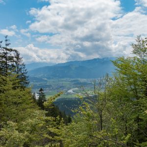 2019_05_feuerkopf_bild_6 2019_05_feuerkopf_bild_6