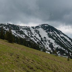 2019_05_kratzer_bild_2 2019_05_kratzer_bild_2