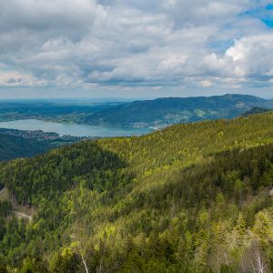 2019_05_kratzer_bild_3 2019_05_kratzer_bild_3