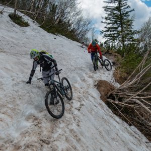 2019_05_kratzer_bild_6 2019_05_kratzer_bild_6