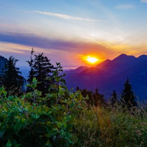 2019_07_heuberg_bild_5 2019_07_heuberg_bild_5