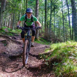 2019_08_geierstein_bild_5 2019_08_geierstein_bild_5