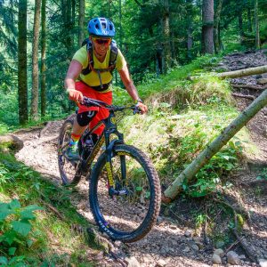 2019_08_geierstein_bild_6 2019_08_geierstein_bild_6