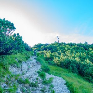 2019_08_ziegelspitz_bild_3 2019_08_ziegelspitz_bild_3