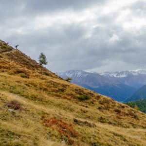 2019_10_vinschgau_bild_3.2 2019_10_vinschgau_bild_3.2