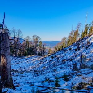 2020_01_osterfeuer_bild_5 2020_01_osterfeuer_bild_5