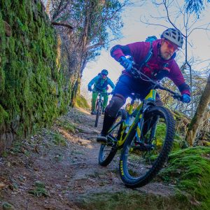 2020_02_bozen_bild_3.3