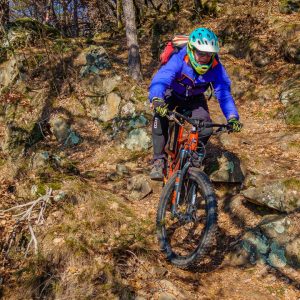 2020_02_bozen_bild_3.5