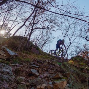 2020_02_bozen_bild_3.6