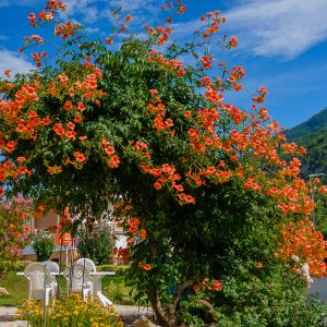 2019_09_crans_bild_1.6 2019_09_crans_bild_1.6