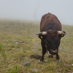 2019_09_crans_bild_6.2 2019_09_crans_bild_6.2