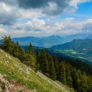 2020_05_fockenstein_bild_4 2020_05_fockenstein_bild_4