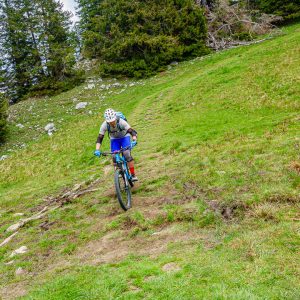 2020_05_fockenstein_bild_5 2020_05_fockenstein_bild_5