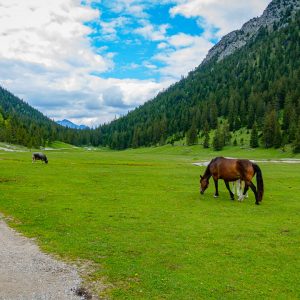 2020_05_wank_II_bild_2 2020_05_wank_II_bild_2