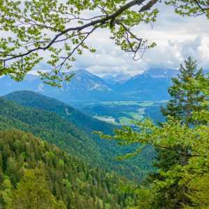 2020_05_wank_II_bild_3 2020_05_wank_II_bild_3