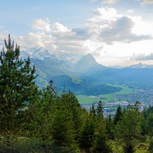 2020_05_wank_bild_6 2020_05_wank_bild_6