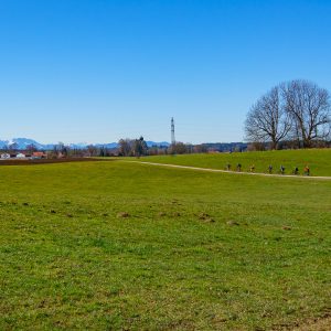 2020_03_taubenberg_bild_1 2020_03_taubenberg_bild_1