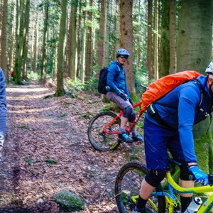 2020_03_taubenberg_bild_3 2020_03_taubenberg_bild_3