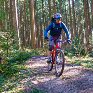 2020_03_taubenberg_bild_6 2020_03_taubenberg_bild_6