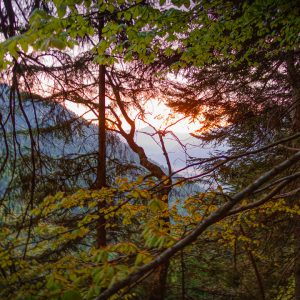 2020_04_ziegelspitz_bild_1 2020_04_ziegelspitz_bild_1