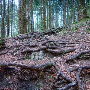 2020_04_ziegelspitz_bild_2 2020_04_ziegelspitz_bild_2