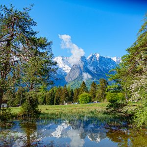 2020_05_koenigstand_bild_1 2020_05_koenigstand_bild_1