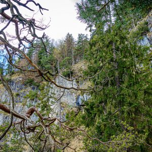 2020_05_koenigstand_bild_3 2020_05_koenigstand_bild_3