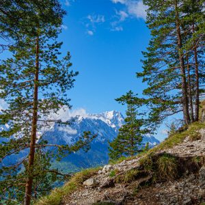 2020_05_koenigstand_bild_4 2020_05_koenigstand_bild_4