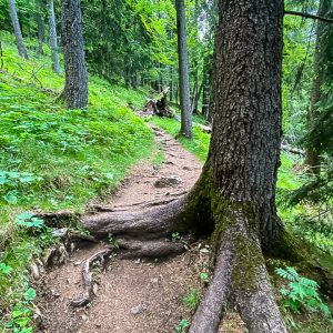 2020_05_osterfeuer_bild_2 2020_05_osterfeuer_bild_2