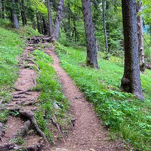 2020_05_osterfeuer_bild_3 2020_05_osterfeuer_bild_3