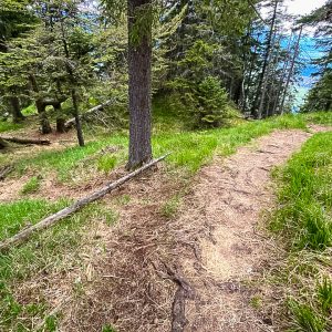 2020_05_osterfeuer_bild_4 2020_05_osterfeuer_bild_4