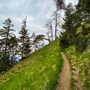 2020_05_osterfeuer_bild_5 2020_05_osterfeuer_bild_5