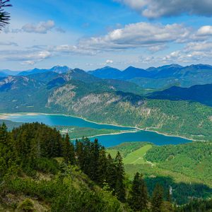 2020_05_schuerpfeneck_bild_3