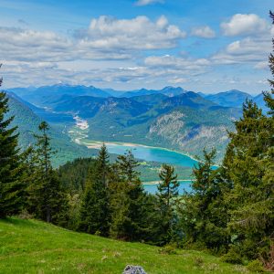 2020_05_schuerpfeneck_bild_4